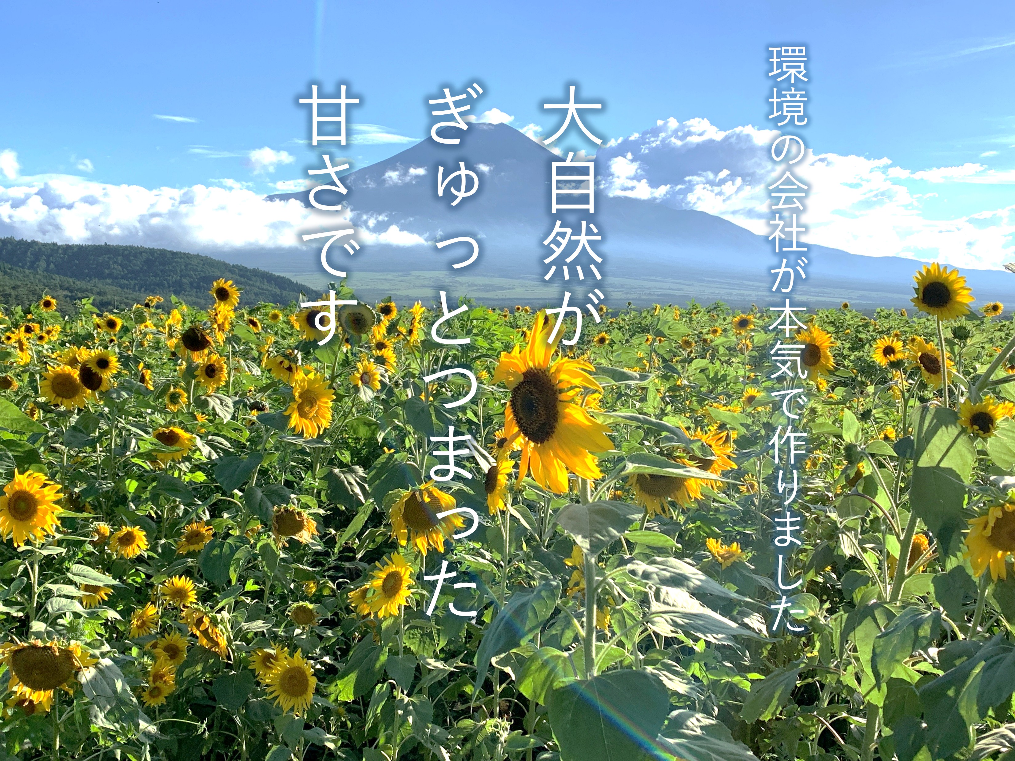 環境の会社が本気で作りました