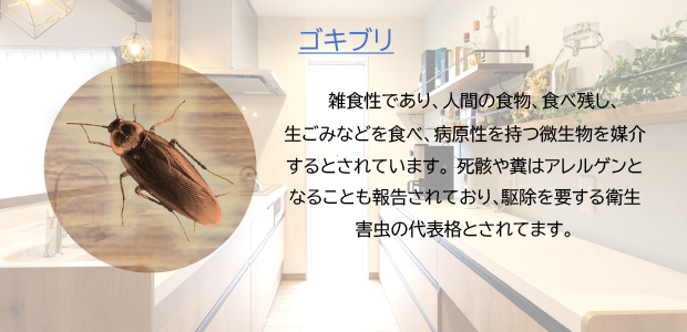 ゴキブリ