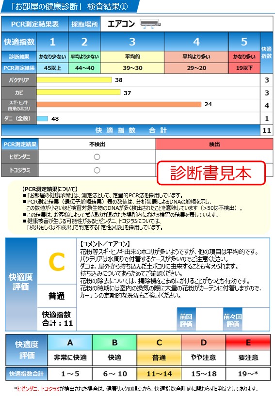 診断書見本