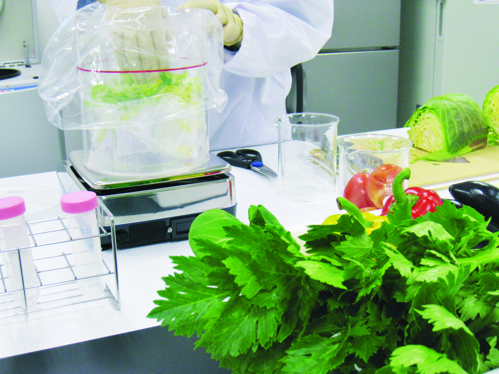 Food analysis and inspection
