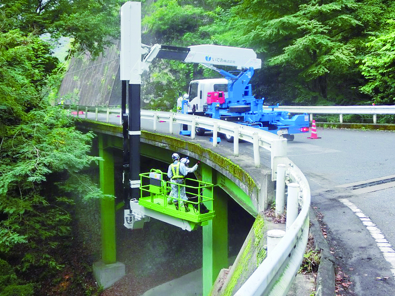 Inspection/diagnosis by bridge inspection vehicles