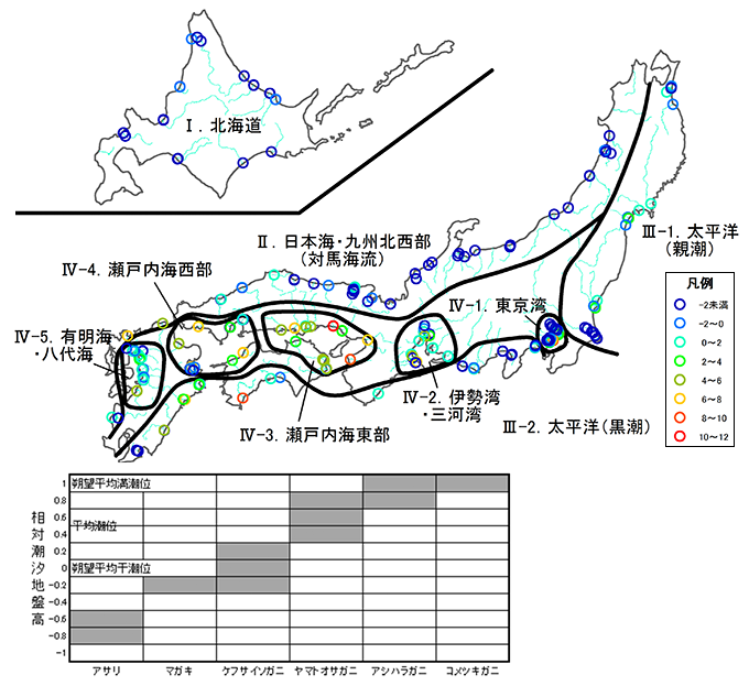 河川汽水域における環境管理に関する資料整理業務