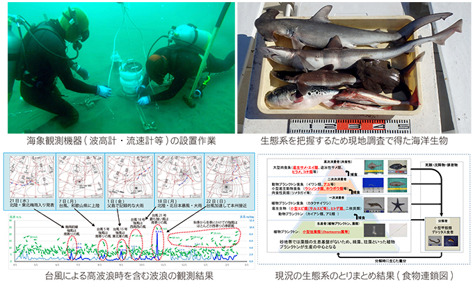 平成29年度 西湘海岸環境調査業務