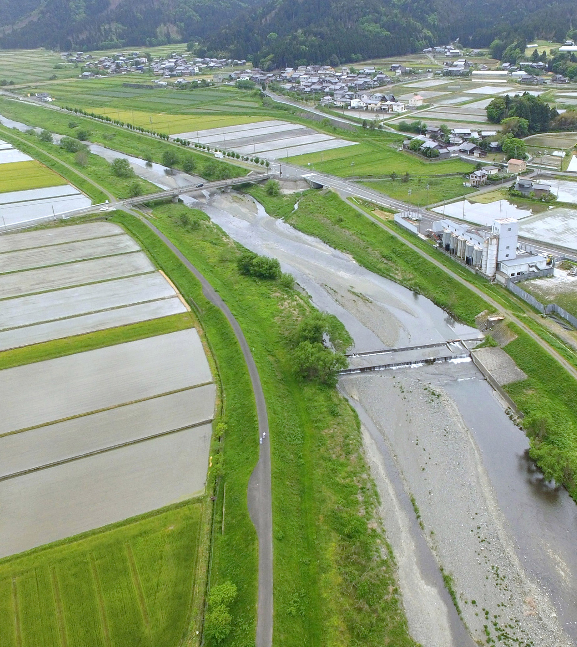 福井管内河川水辺の国勢調査他業務