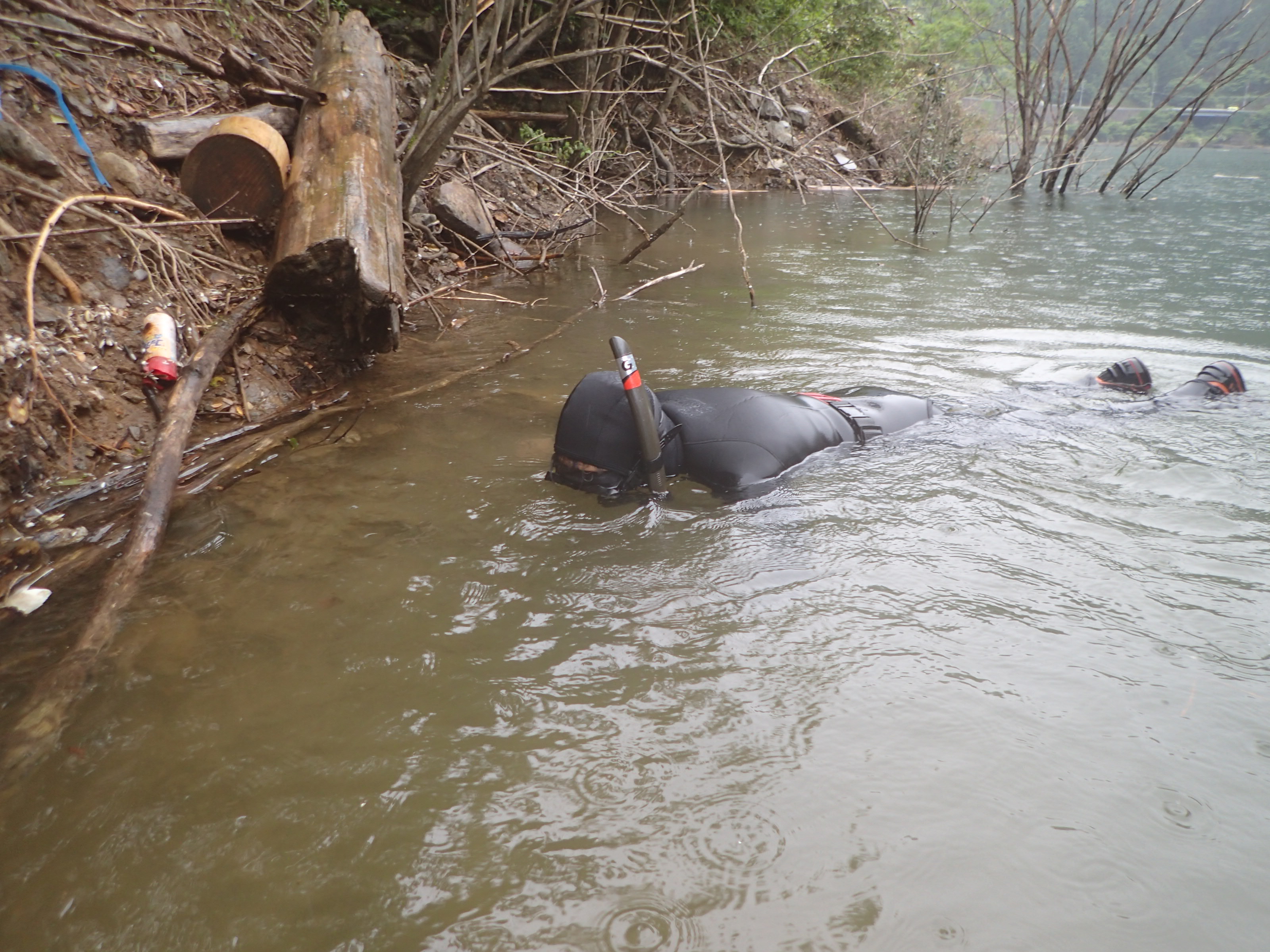 紀の川ダム統管管内河川水辺の国勢調査等業務