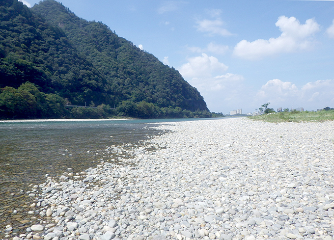 平成31年度 木曽川上流環境調査業務