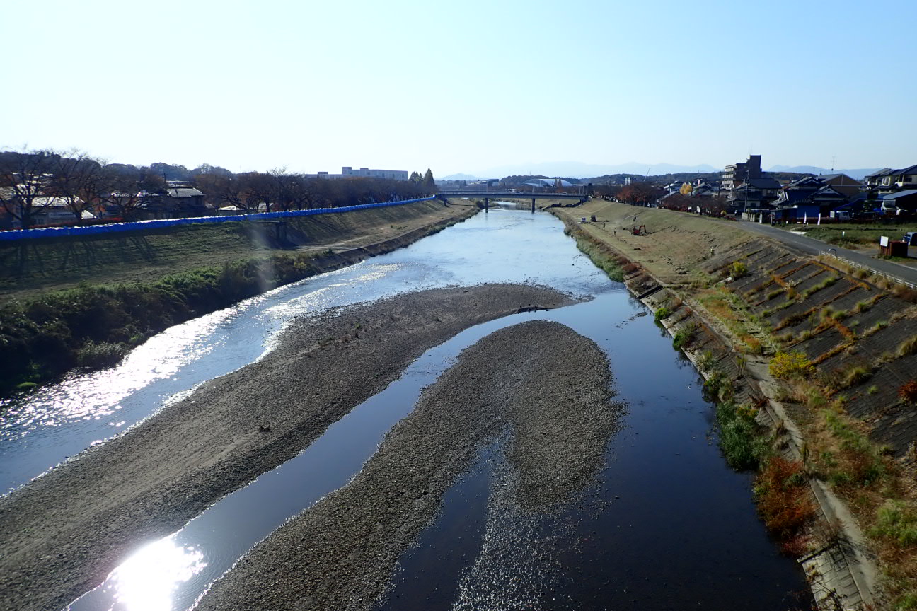 水防活動タイムライン調査業務