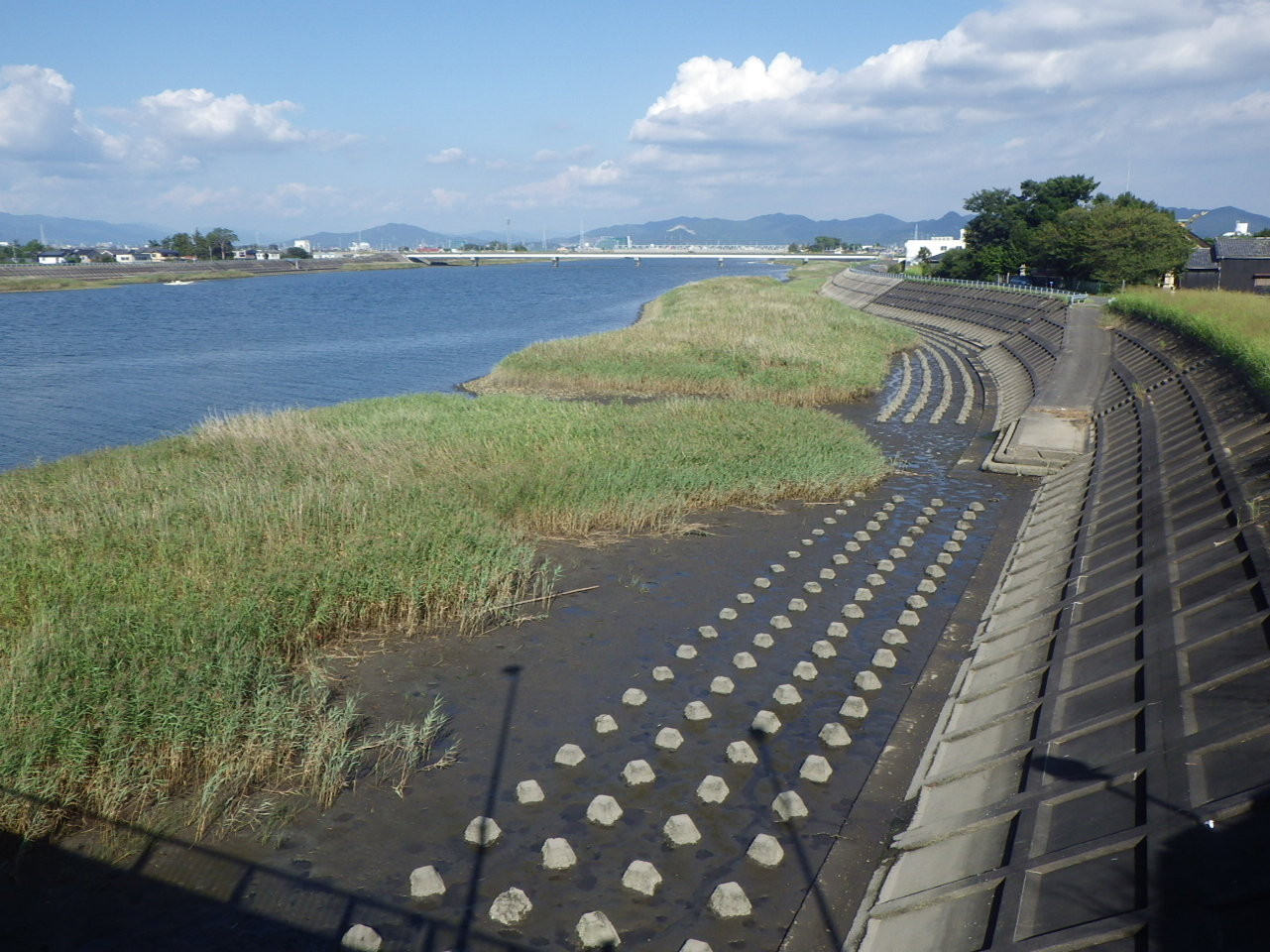 令和３年度 豊川自然再生事業検討業務 