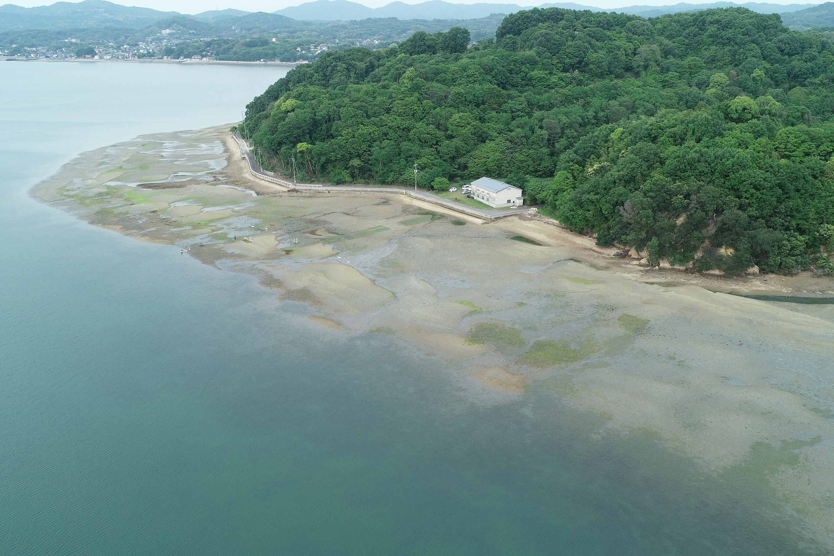 広島県東部地域沿岸域環境調査業務