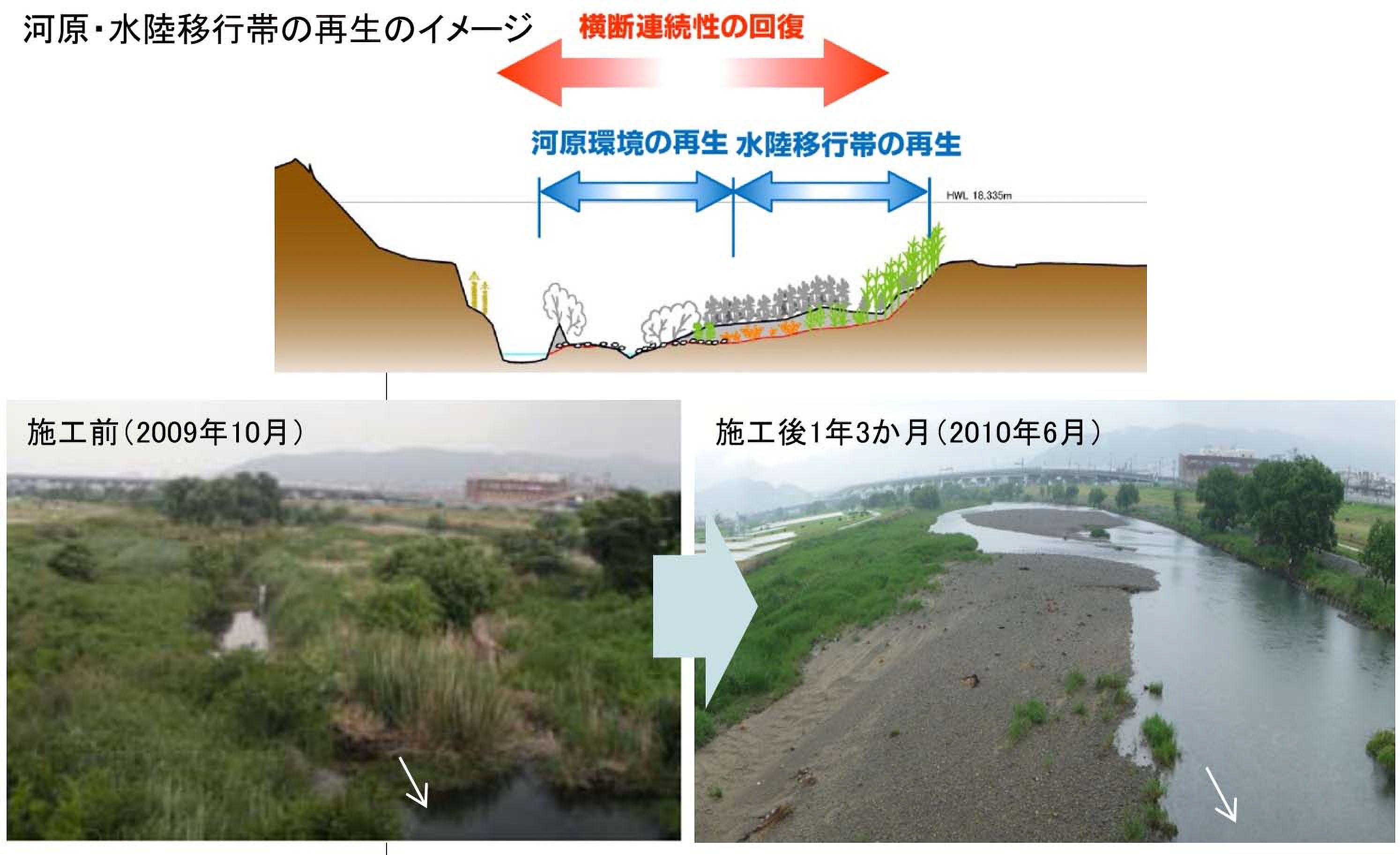 猪名川流域環境調査とりまとめ業務