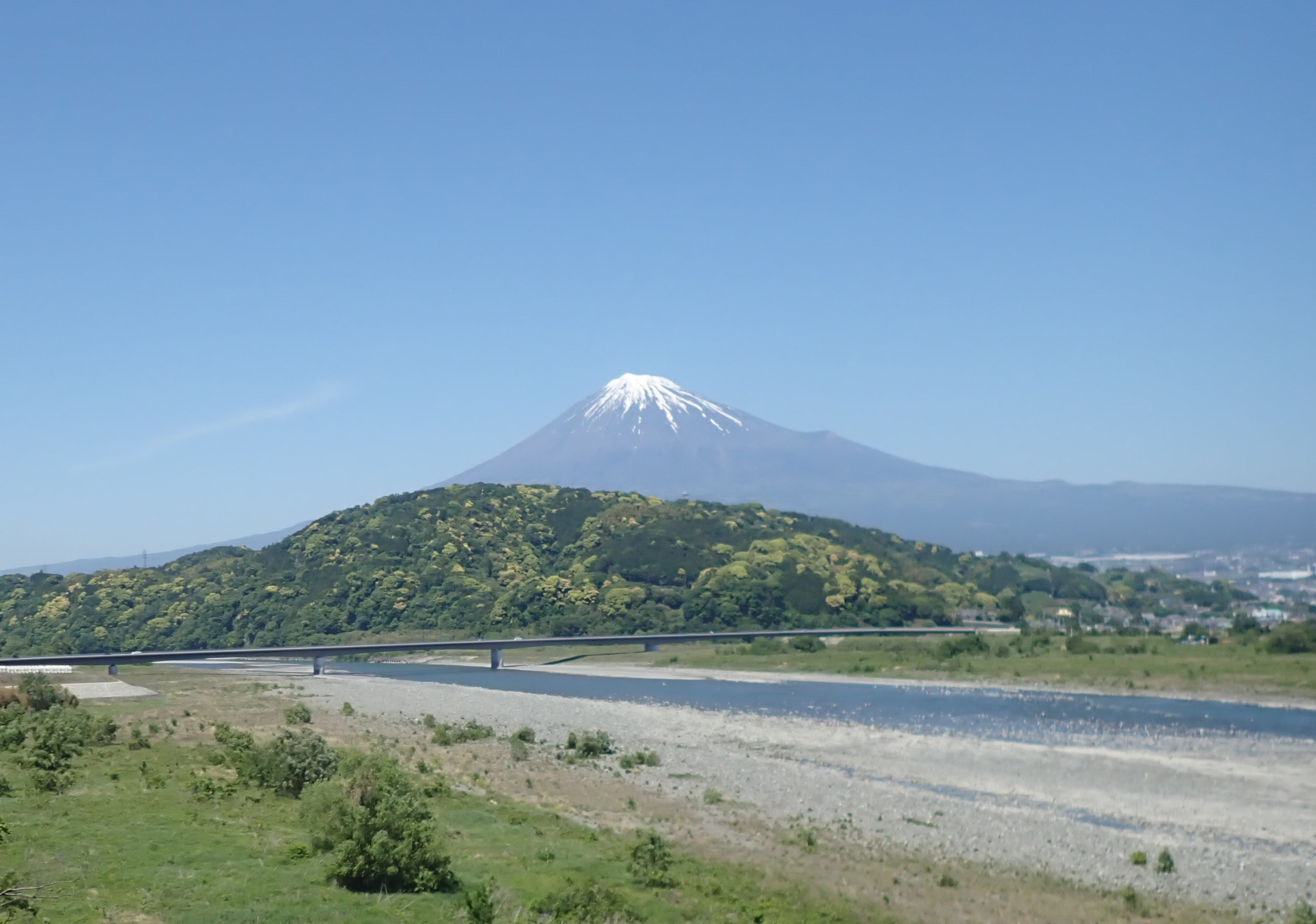 Ｒ６富士川水辺現地調査（魚類・空間利用実態調査）業務