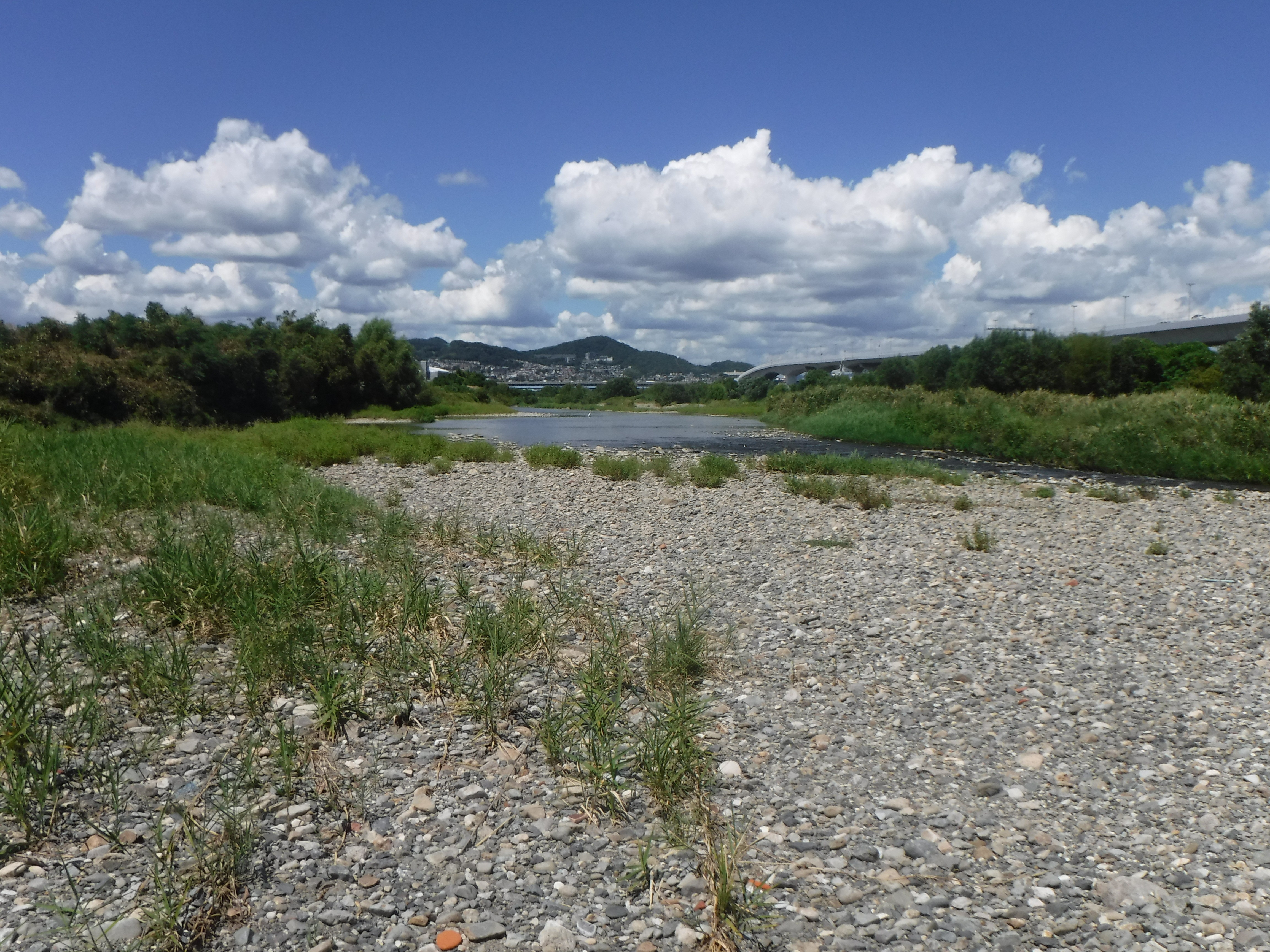 猪名川流域環境調査とりまとめ業務