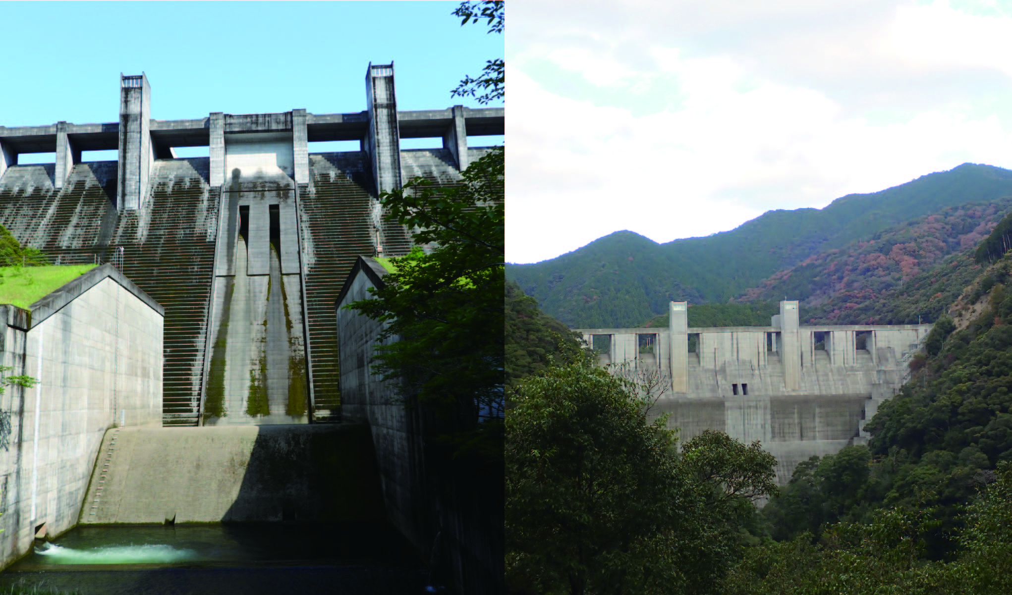 令和５－６年度　中筋川ダム外水辺現地調査（鳥類外）業務