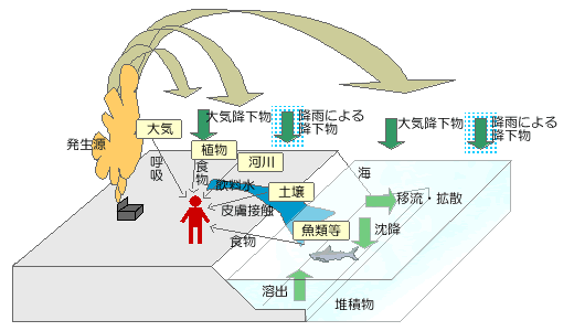 ダイオキシン類の環境中における挙動(概念図)