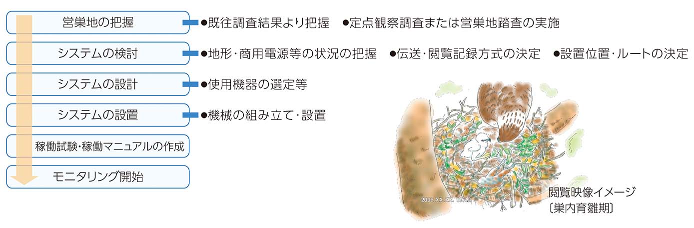 調査の手順