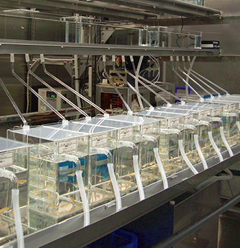 流水式装置による試験流水式装置による試験