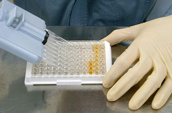 メダカ・ビテロゲニンELISAキット