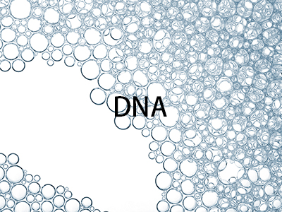 DNA分析-生物の種判別、遺伝的多様性の調査、蒲焼等の食品など-