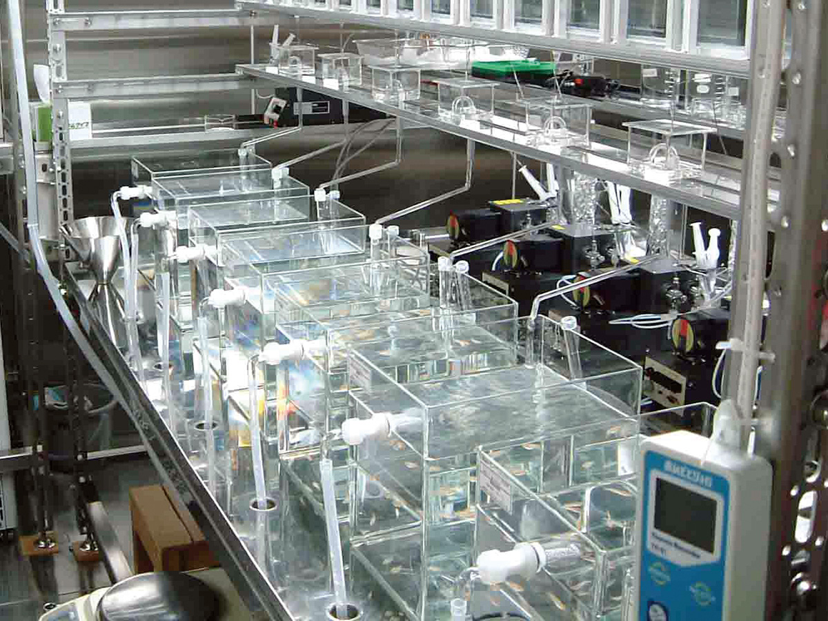 化学物質審査規制法に基づく生態影響試験