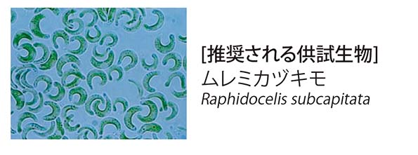 ムレミカヅキモ