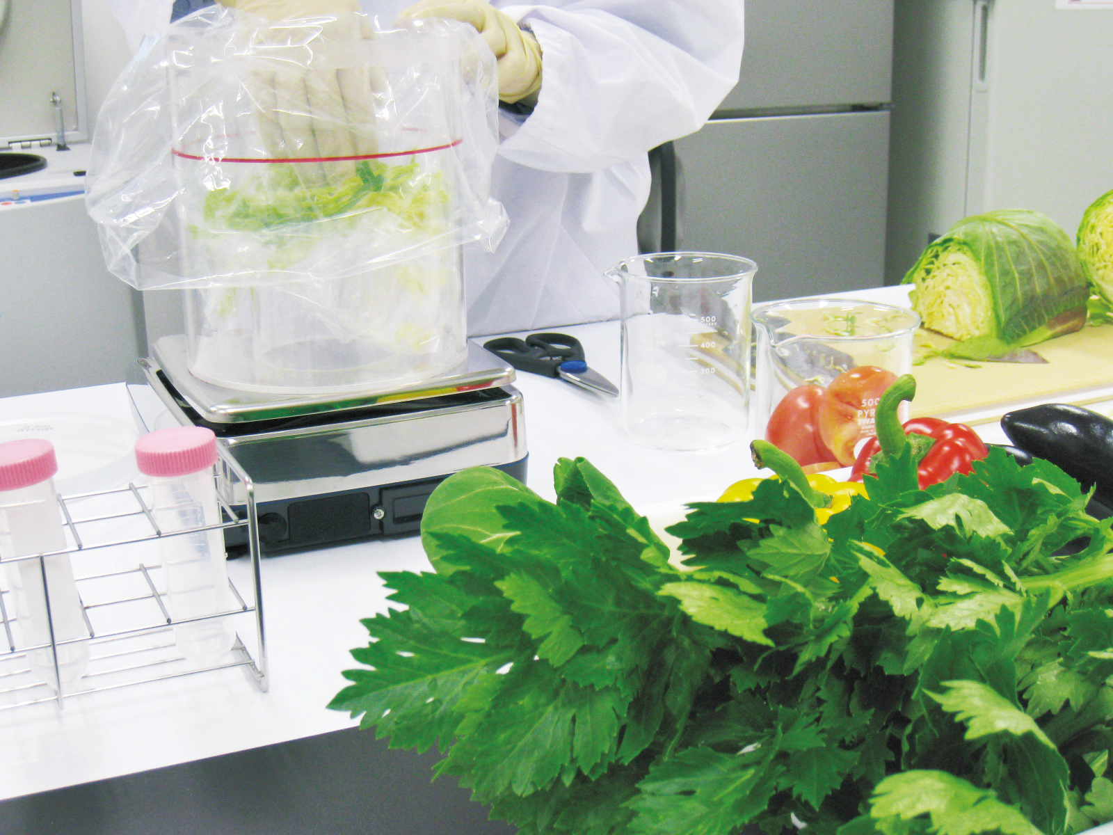 食品衛生検査・生命科学関連検査のご案内