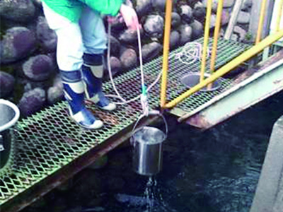 排水の生物応答試験