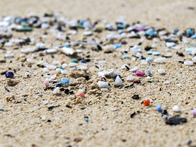 吸着POPsを含めたマイクロプラスチック分析