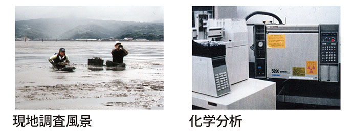 現地調査・分析