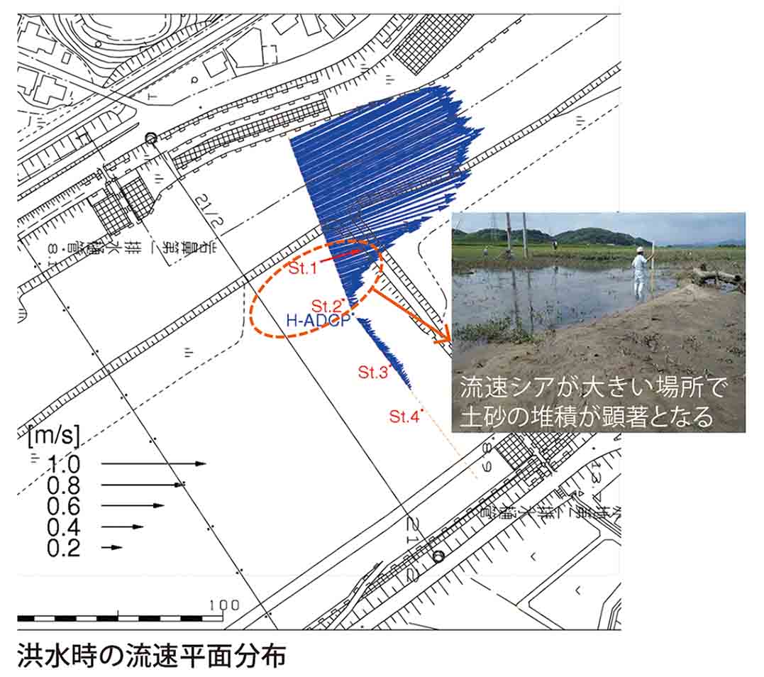 洪水時の流速平面分布