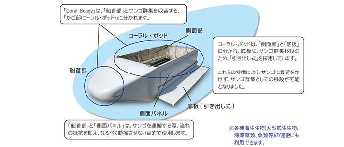 サンゴ群集移設法 －自然のまま効率的かつ大規模に移設する技術