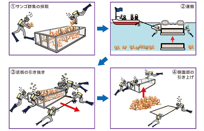 移設作業の流れ