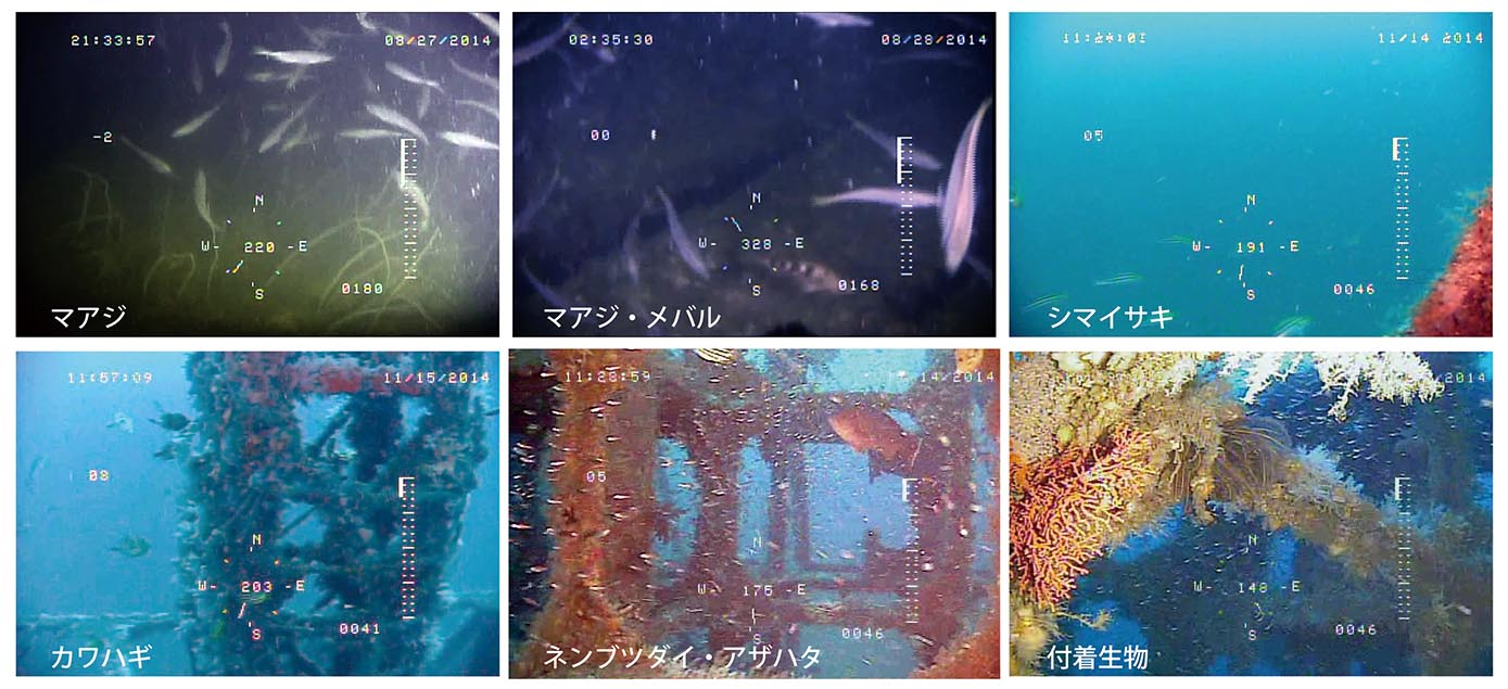 ROVによる魚礁調査事例