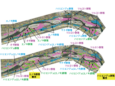 草本・樹林地の動態シミュレーション