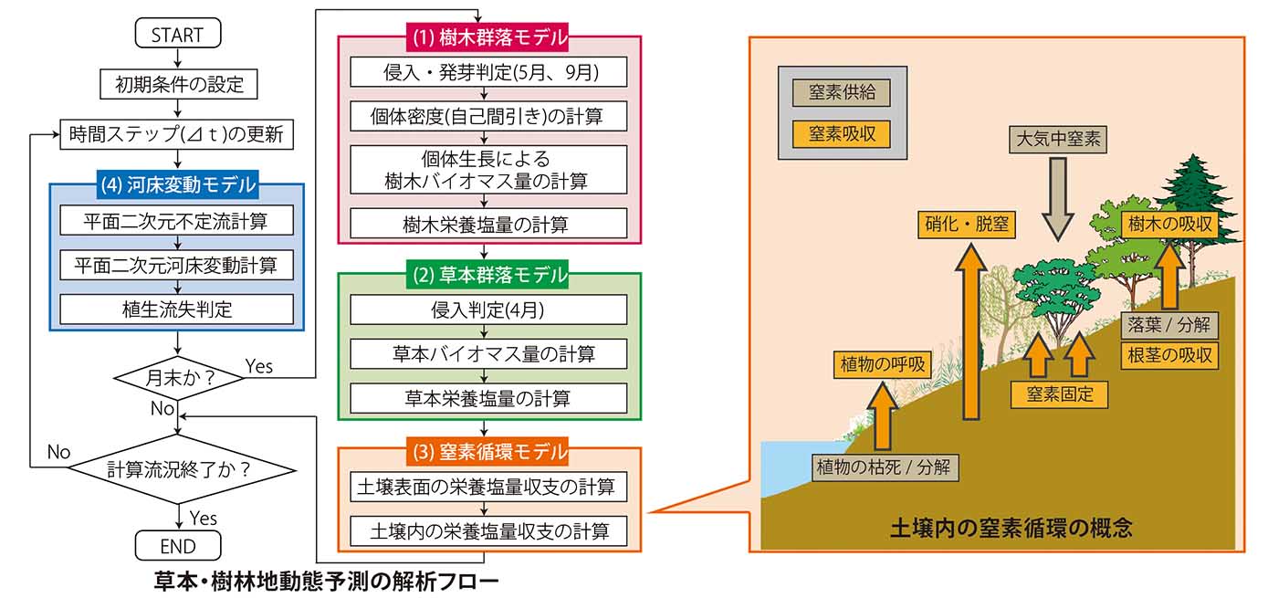 草本・樹林地動態予測の解析フロー