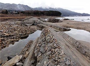 津波による土砂移動解析技術