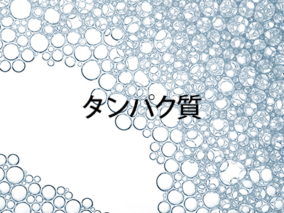 タンパク質分析(プロテオーム解析)受託サービスカタログ