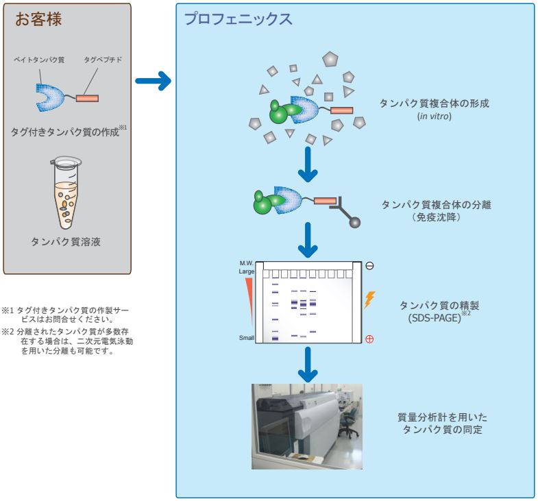決定版　質量分析活用スタンダード?代謝物からタンパク質、食品・環境の分析まで質量分析のポテンシャルを活かしきる戦略とプロトコール (実験医学別冊) 実験医学別冊：決定版 質量分析活用スタンダード〜代謝物から
