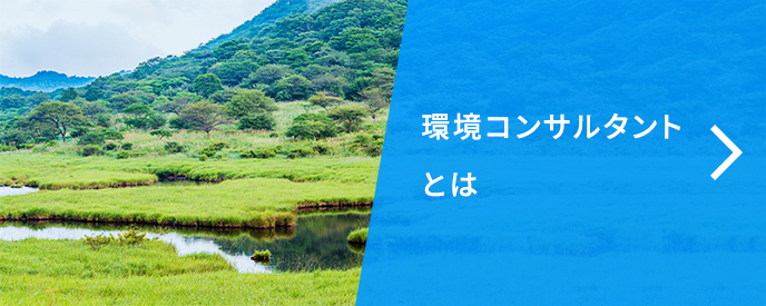 環境コンサルタントとは 環境コンサルタントとは