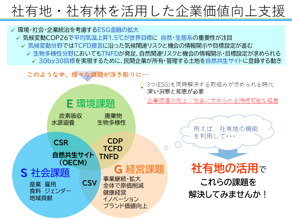 提案書例(社有地・社有林を活用した企業価値向上支援)