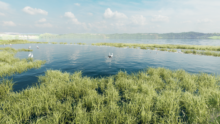 河川整備後の自然豊かな河原を表現