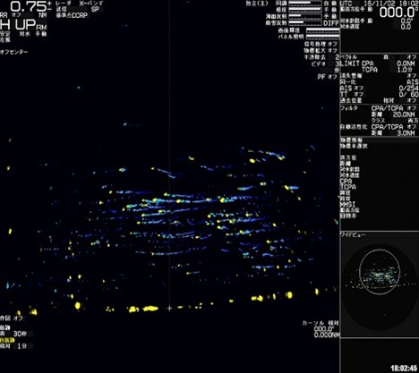 船舶レーダーで捉えた鳥類の飛翔軌跡