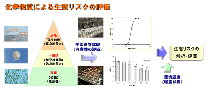 化学物質による生態リスクの評価